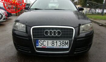 Audi A3 1.6Mpi AttractionKlimatronic x2 Podg.Fotele Alu-Felgi full