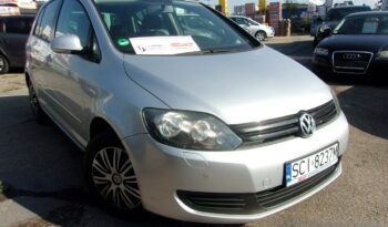 Volkswagen Golf Plus Plus 1.6 Mpi 102Km Trendline Pdc Przód-Tył full
