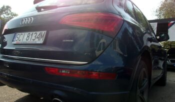 Audi Q5 2.0 T quattro Buisnes Hak Pdcx2 Klimatronic 2xKoła full