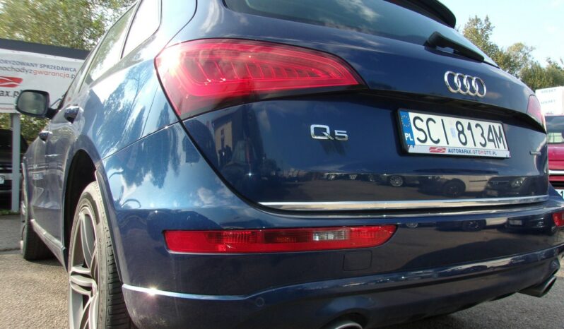 Audi Q5 2.0 T quattro Buisnes Hak Pdcx2 Klimatronic 2xKoła full